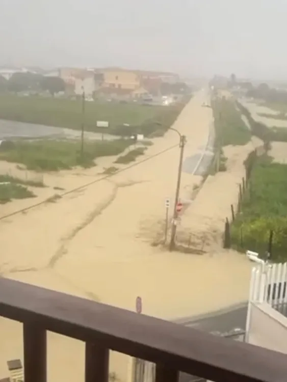 FB_IMG_1773786089933