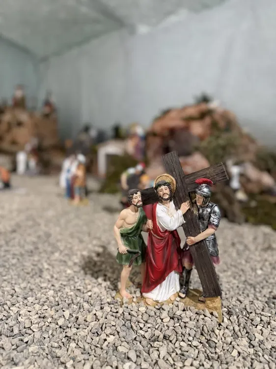 IMG_5977-scaled-rl45gseyirmxfn1zbagt83ntpm674l3uc2s5dd7knw