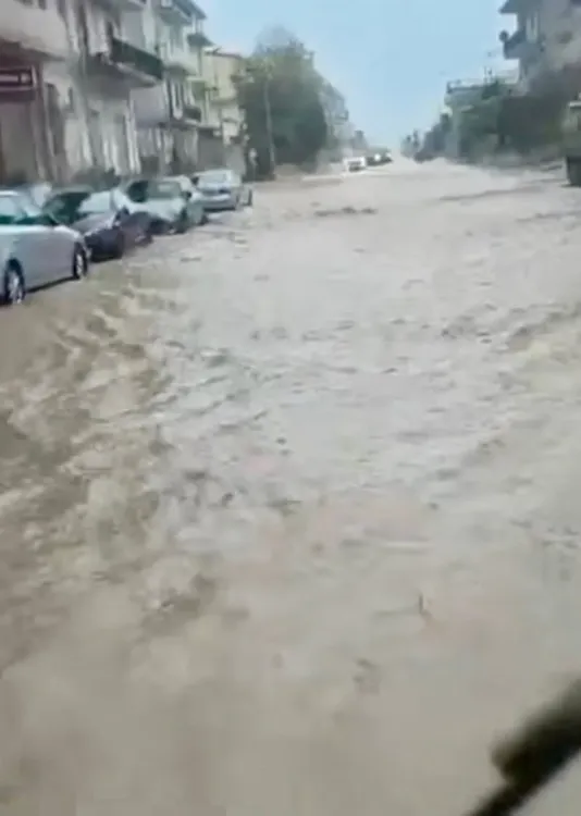 FB_IMG_1773786086760