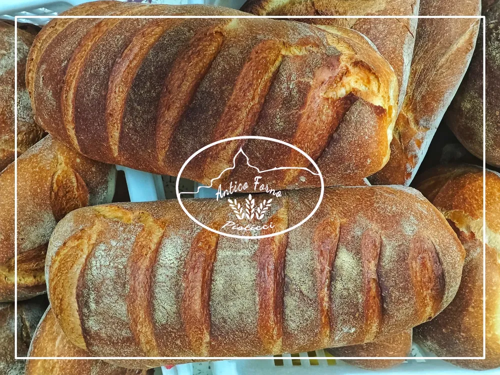 585889773_1480830844043954_7507697615613185712_n