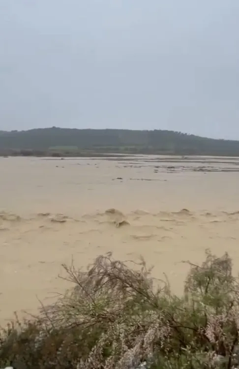 FB_IMG_1773786096530